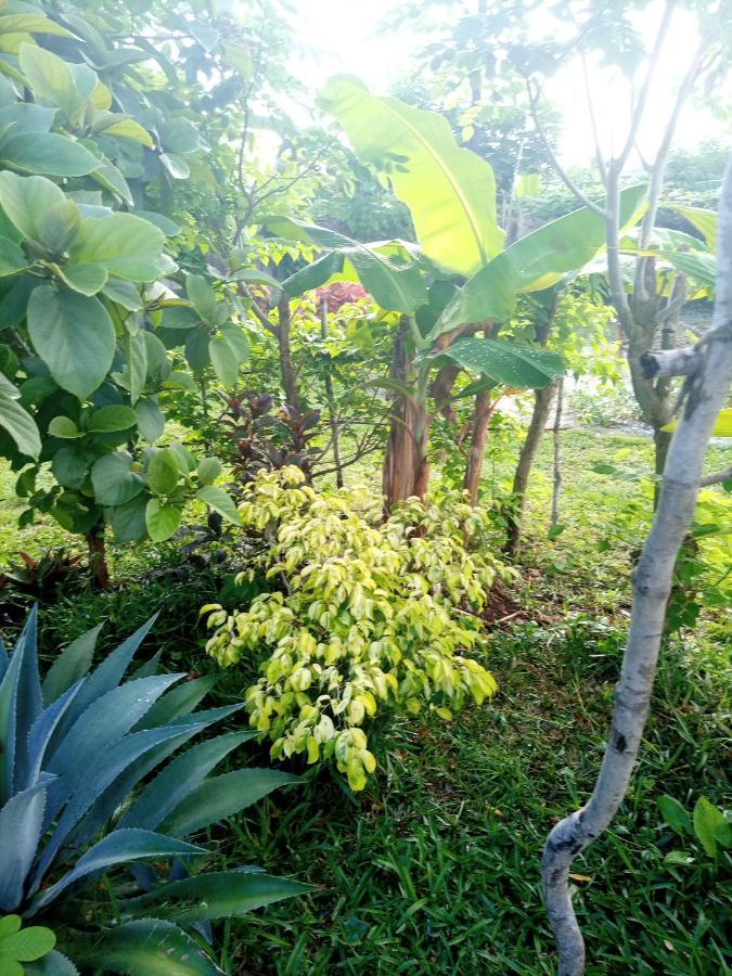 Sweet Home 吉汶瓦 外观 照片